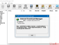 Internet Download Manager（IDM）v6.32.6 简体中文破解版